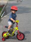 tn-img_4138.jpg